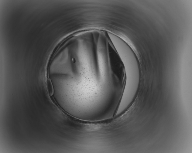 X0000089440996200706291422