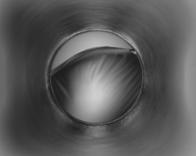 X0000089440997200706291422