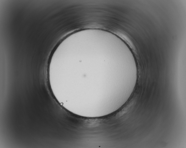 X0000089441000200706291422