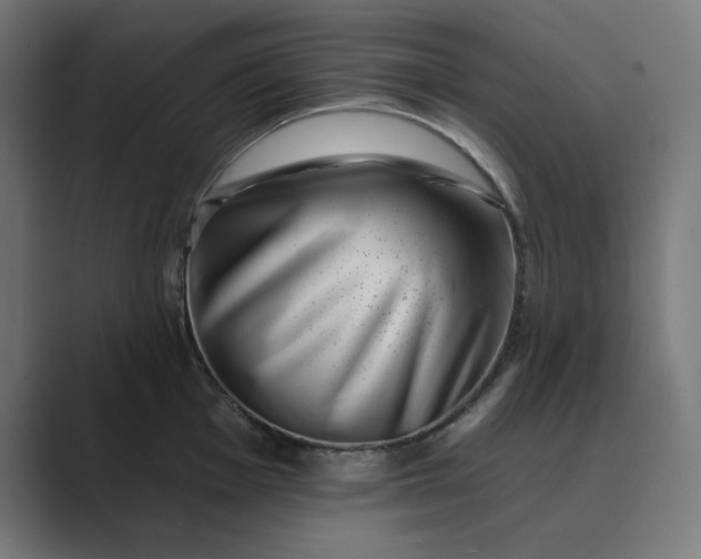 X0000089441001200706291422