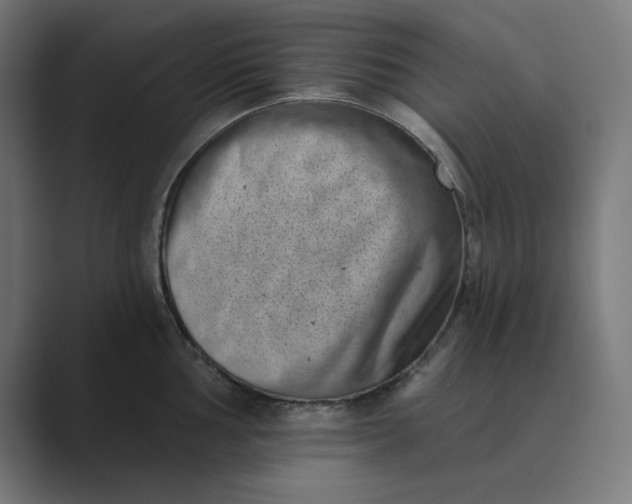 X0000089441002200706291422