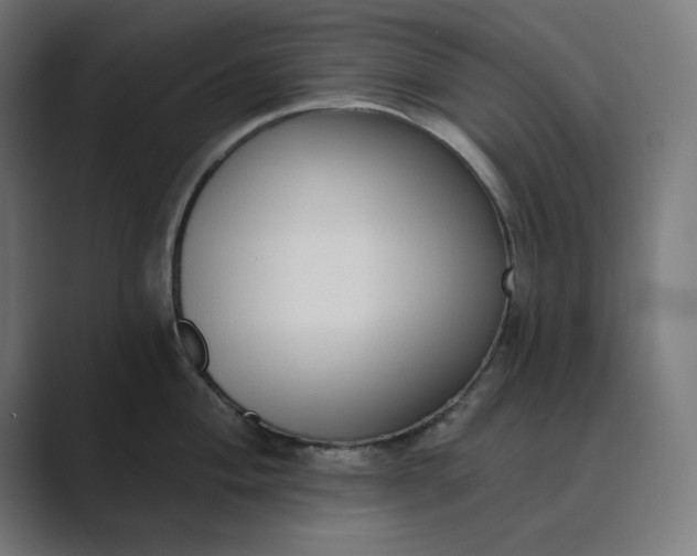 X0000089441004200706291422