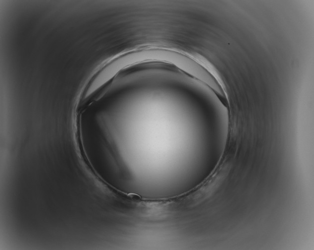 X0000089441005200706291422