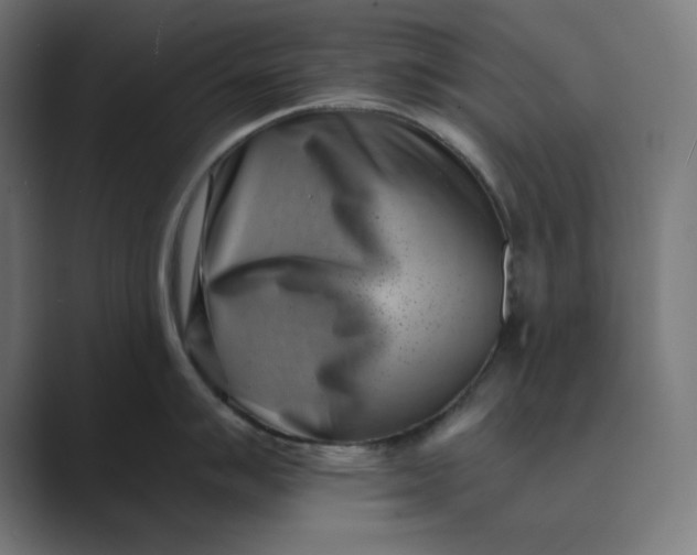 X0000089441007200706291422