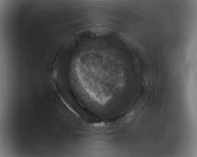 X0000089441010200706291421