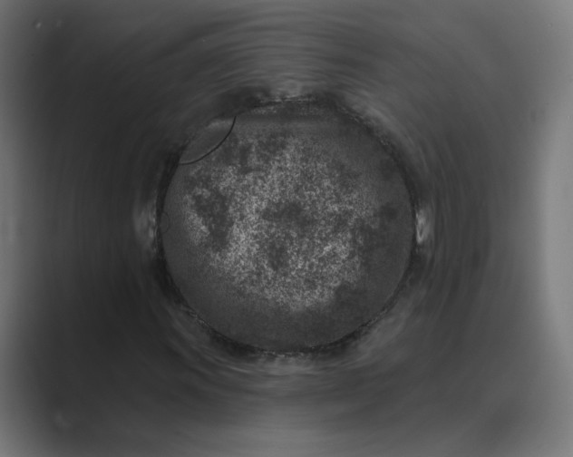 X0000089441011200706291421