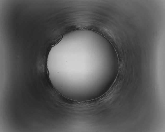 X0000089441012200706291421