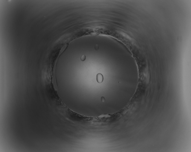 X0000089441014200706291421