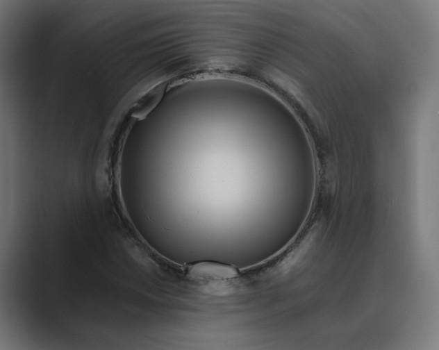 X0000089441018200706291421