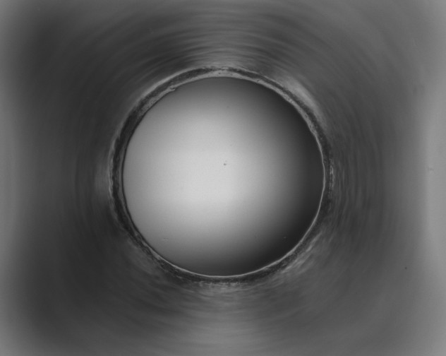 X0000089441020200706291421