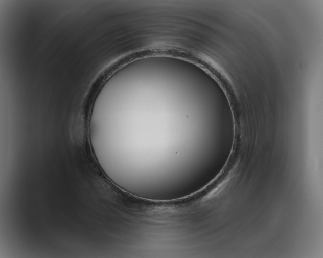 X0000089441021200706291421