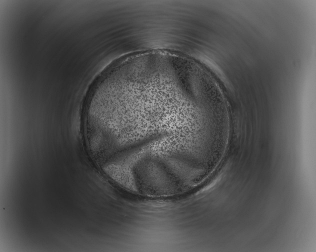 X0000089441023200706291421