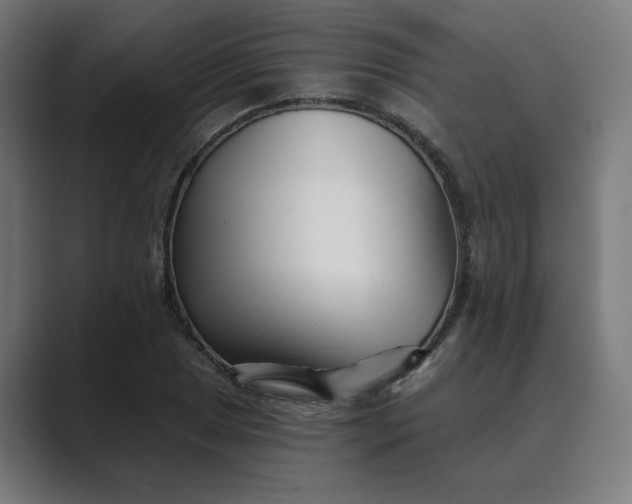 X0000089441025200706291421