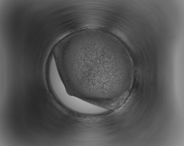 X0000089441026200706291421