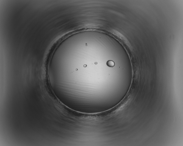 X0000089441027200706291421