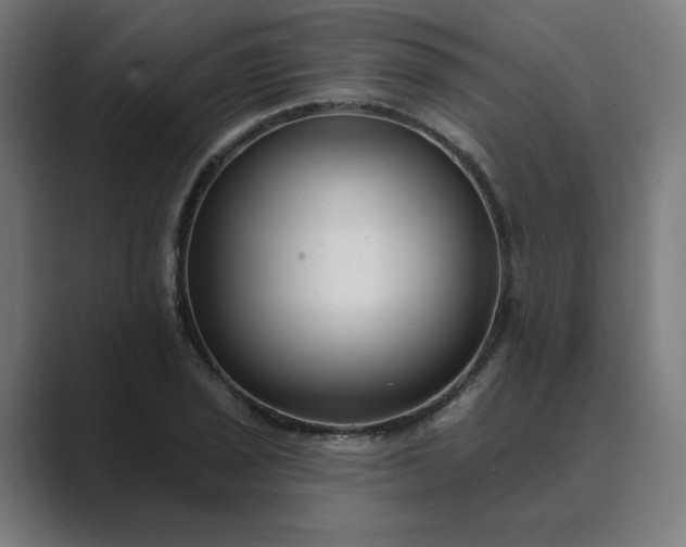 X0000089441029200706291421