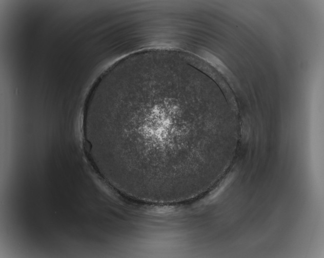 X0000089441030200706291421