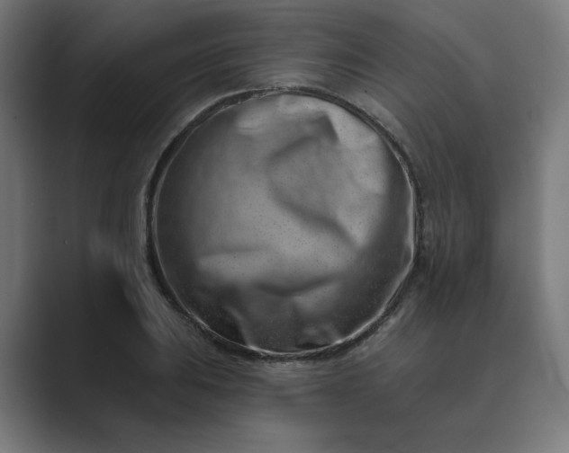 X0000089441031200706291421