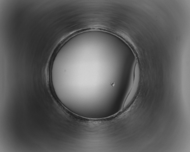 X0000089441032200706291421