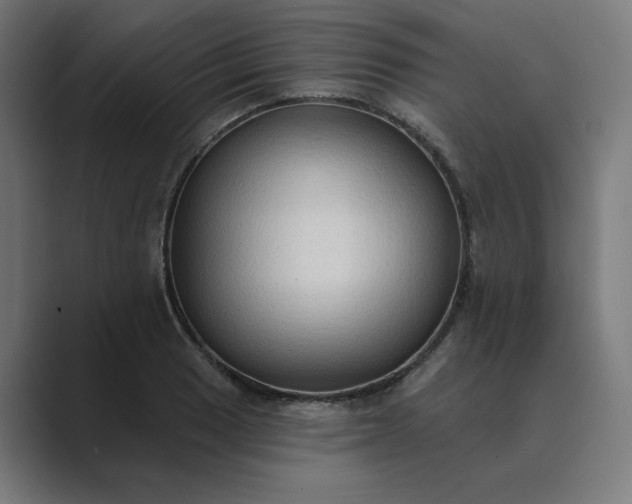 X0000089441033200706291421