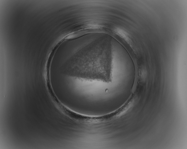 X0000089441034200706291421