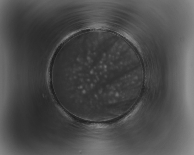 X0000089441037200706291421