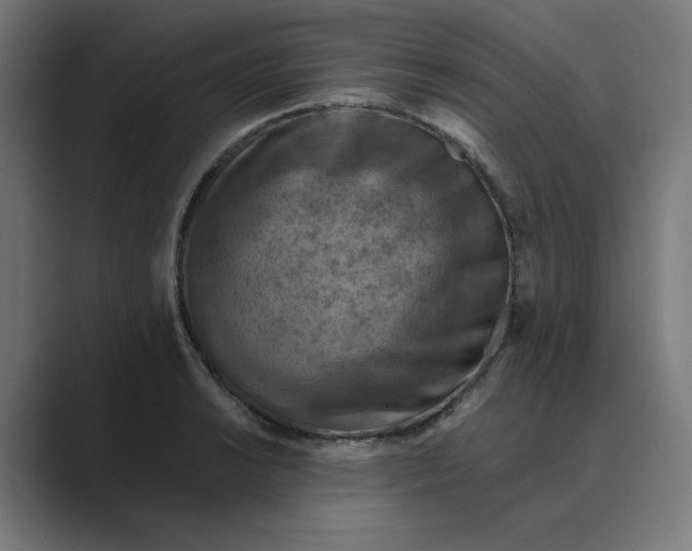 X0000089441038200706291421