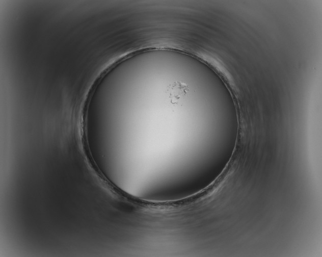 X0000089441040200706291421