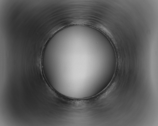 X0000089441041200706291421