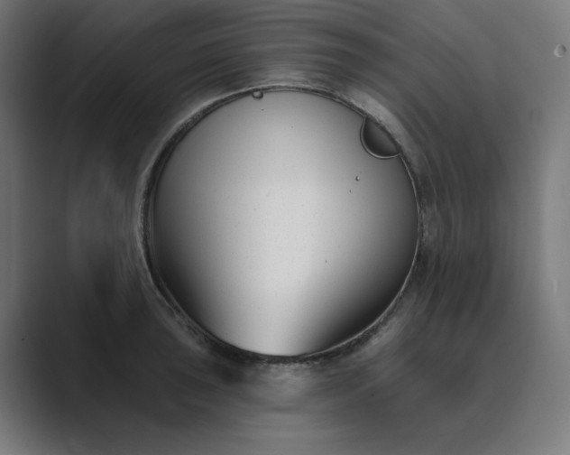 X0000089441043200706291421