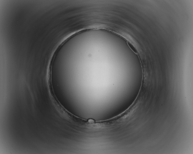 X0000089441044200706291421