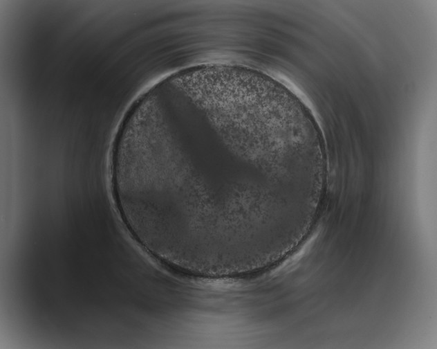 X0000089441045200706291421