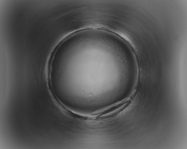 X0000089441046200706291421