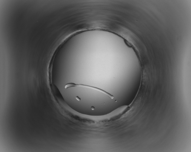 X0000089441047200706291421