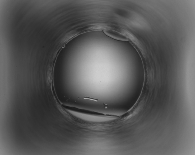 X0000089441049200706291421