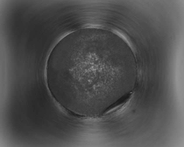 X0000089441050200706291421