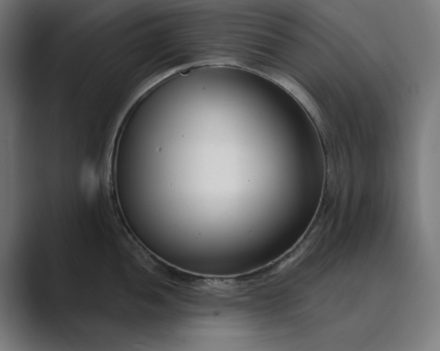 X0000089441052200706291421