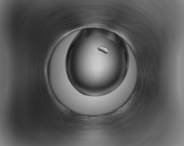 X0000089441054200706291421