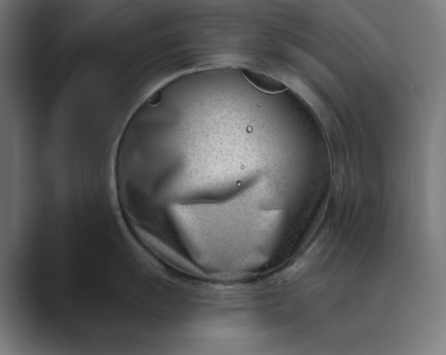 X0000089441055200706291421