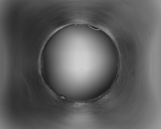 X0000089441056200706291422