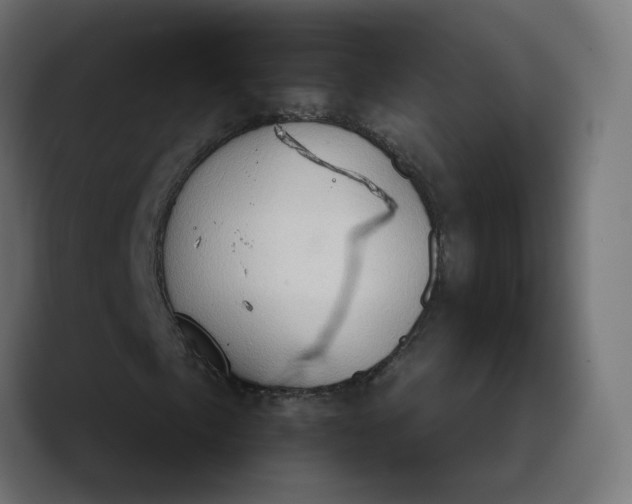 X0000089441057200706291421