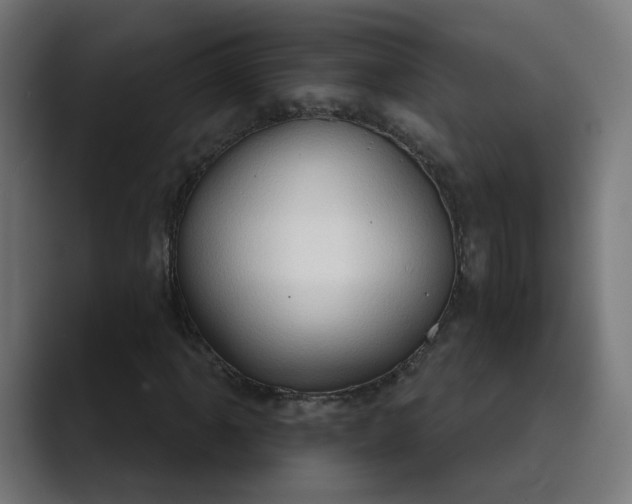 X0000089441061200706291421