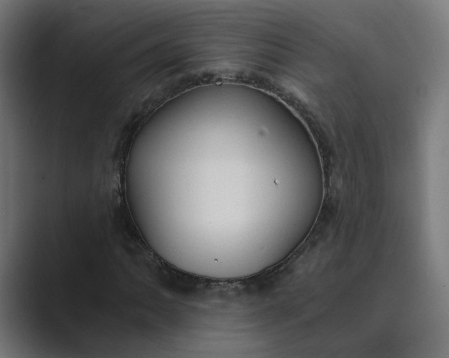 X0000089441062200706291421