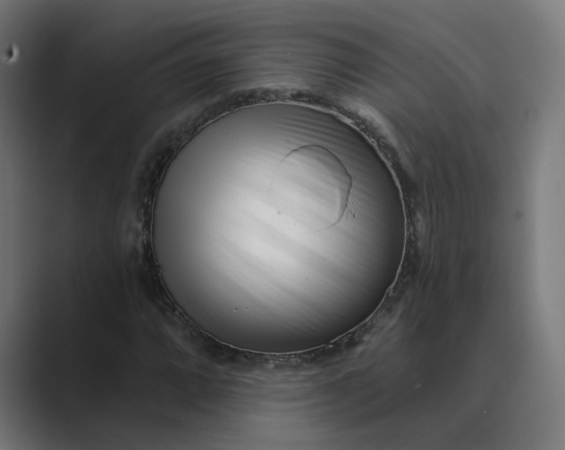 X0000089441064200706291421