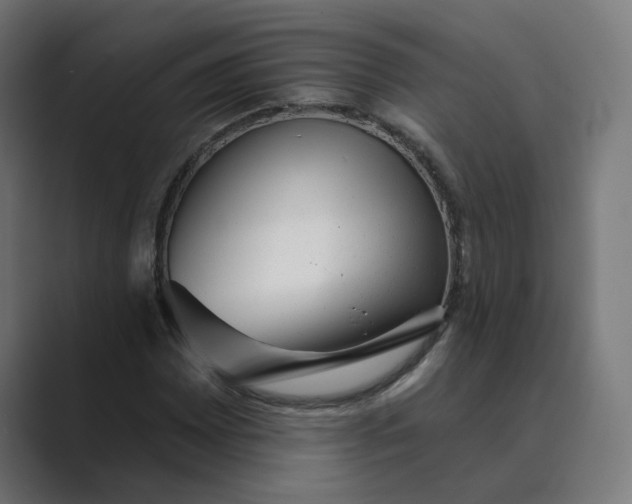 X0000089441065200706291421