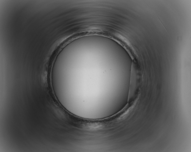 X0000089441066200706291421