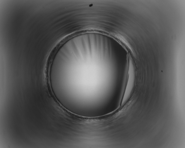 X0000089441068200706291421