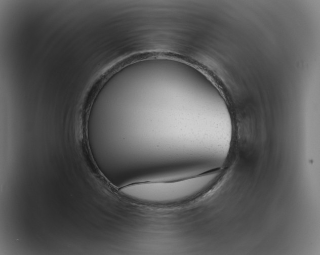 X0000089441069200706291421