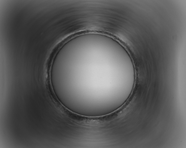 X0000089441070200706291421