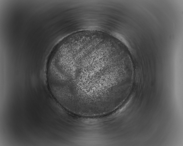 X0000089441071200706291421